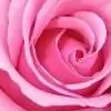 Srivalli.t thumbnail