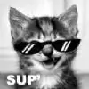 SIR.MEOWINGTON thumbnail