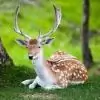Suganya.S thumbnail