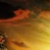 kartikachandran Thumbnail