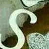 koyalpari thumbnail