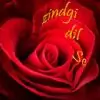 zindgidilse thumbnail