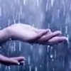 auporupa thumbnail