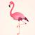 flamingoAK Thumbnail