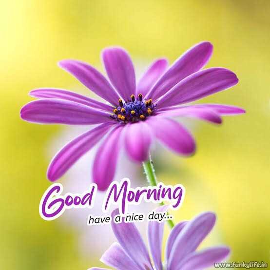 images - 2022-05-26T092700.237.jpeg