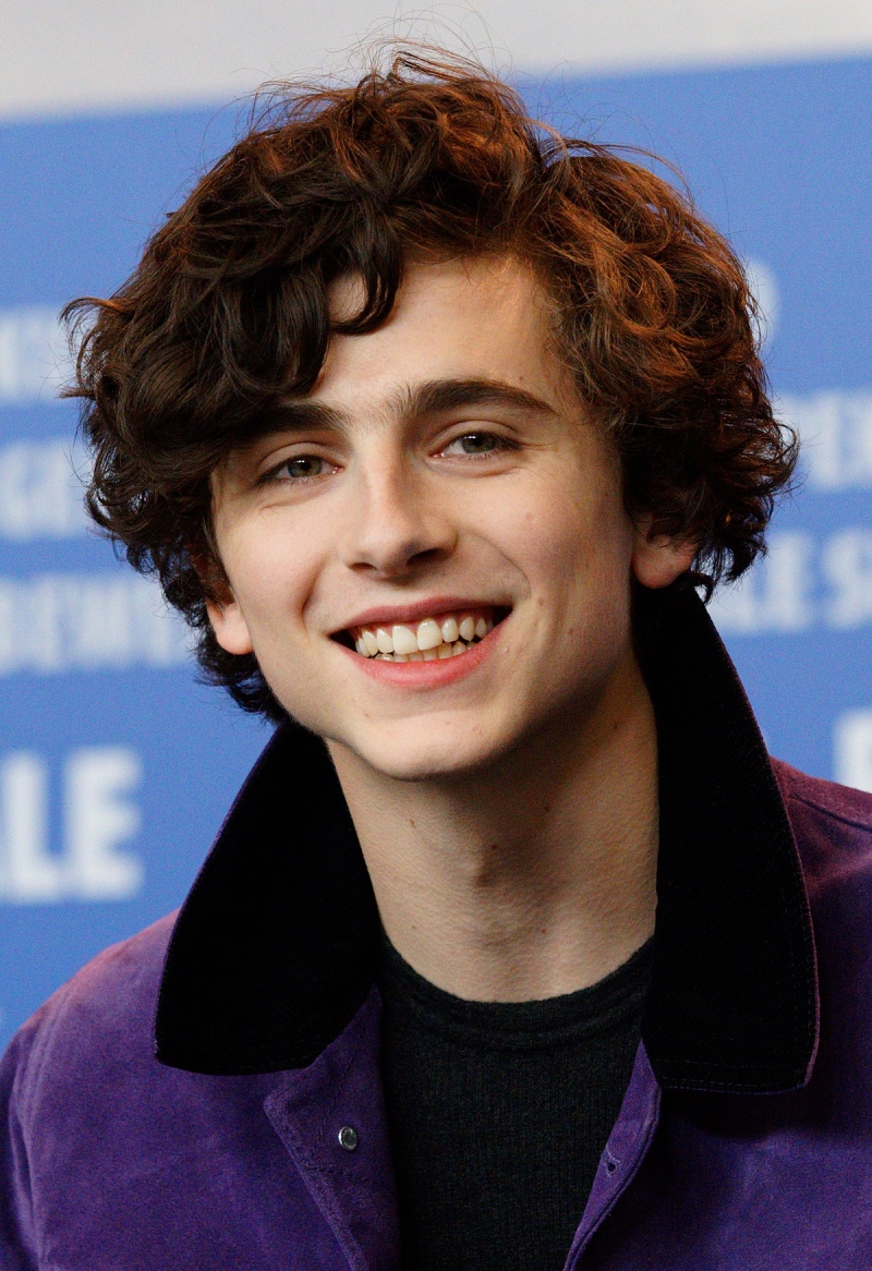 Timothée_Chalamet_2017_Berlinale.jpg