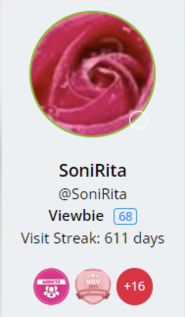 sonirita-profile-card.png