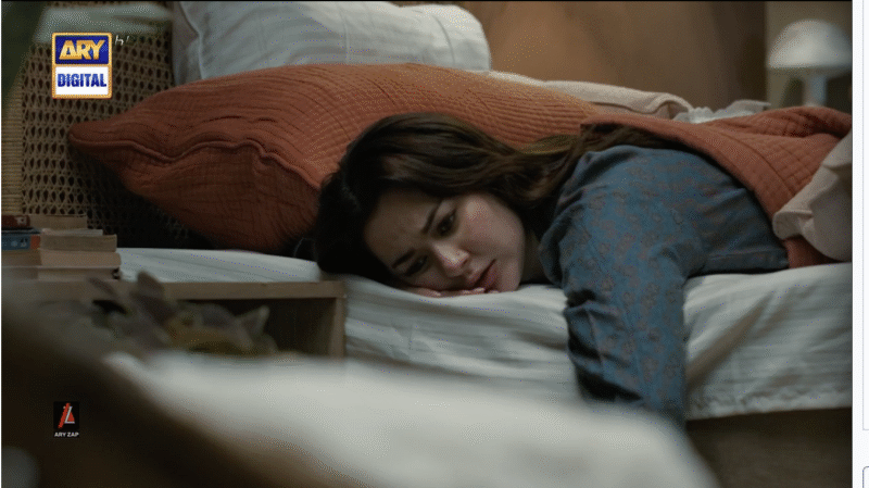 Screenshot 2024-08-27 at 11.36.14 AM.png