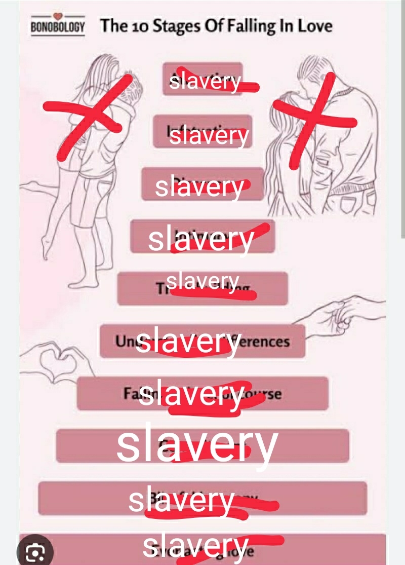 0246-878691__01__01__01.jpg