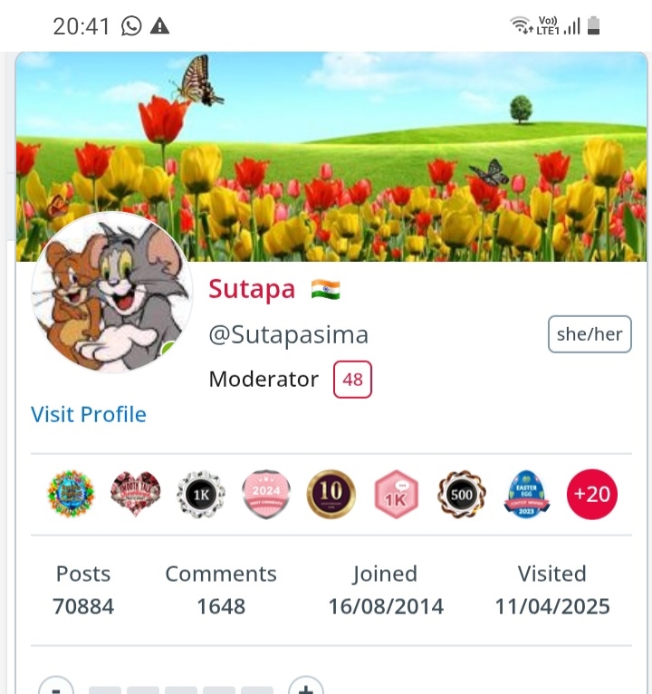 Screenshot_20250411-204143_Chrome.jpg
