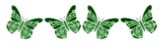 4O108h3.png