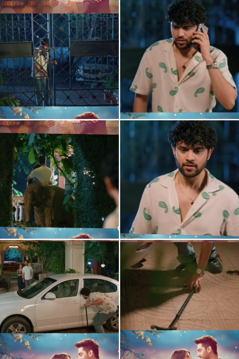20250430_082646-COLLAGE.jpg
