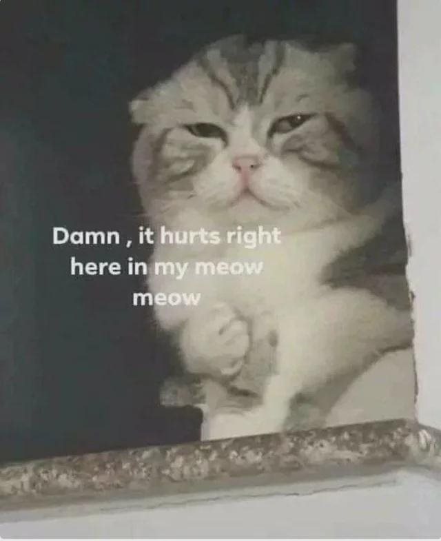 1000043640.jpg