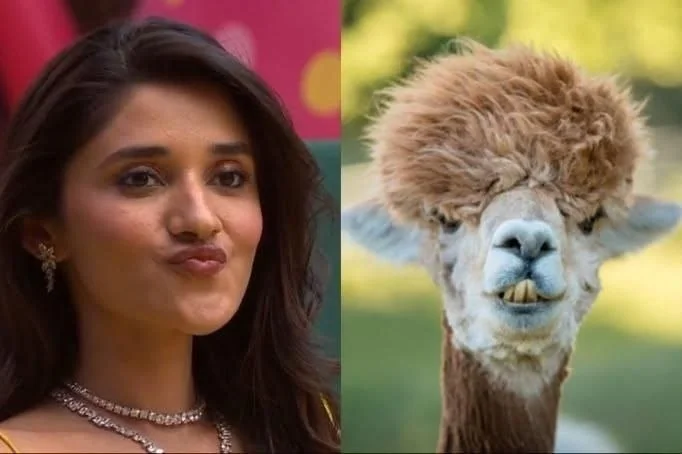 Bigg Boss 20: Daily Discussion Thread- 13th Sept 2026 WKV