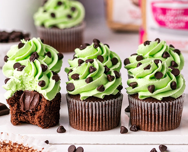 Mint_choc_chip_3960875e-f7fa-4da3-b94a-06fc68bfdd19_620x.jpg