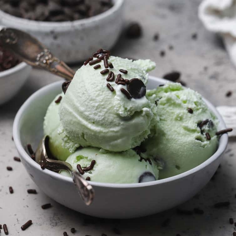 Mint-chocolate-chip-ice-cream-14-square.jpg