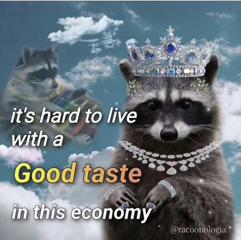 raccoon-s-hard-live-with-good-taste-this-economy-tadbairr-racoonologia.jpeg