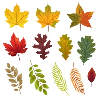 set-icons-with-various-types-leaves_1150-28613.jpg