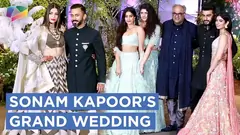 Sonam And Anand's Grand Wedding Reception Thumbnail