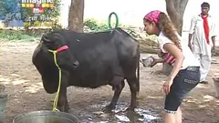 Desi Girl - Ep#3 Thumbnail