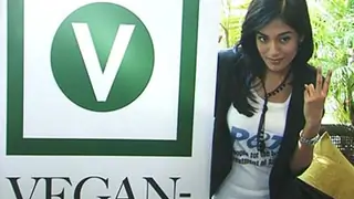 Amrita Rao unveils new vegan friendly menu for Peta Thumbnail