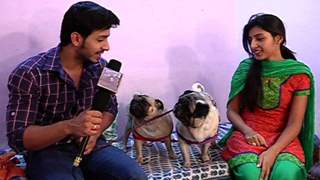 Meet Param Singh's Lovely Pets Thumbnail