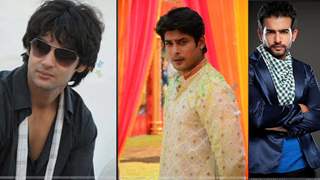 Television Stars Who Debuted In Bollywood In 2014