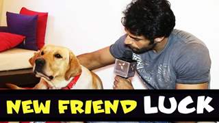 Shaleen Malhotra's new friend