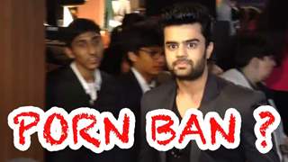 Actors Manish Paul and Javed Jaffery opine about Porn Ban thumbnail