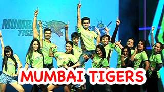 Arjun Bijlani brings a new team, Mumbai Tigers for the fresh season of Box Cricket League