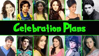 TV celebs' happening new year 2016 party plans