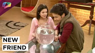 Thapki gets a new friend! Thumbnail