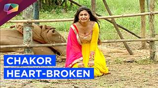 Chakor's dreams are shattered in Udaan