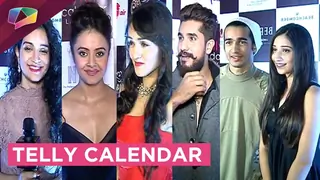 Launch of Telly Calendar 2017 Thumbnail