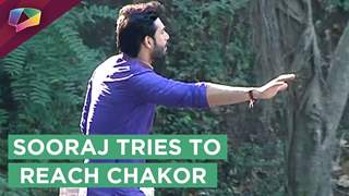 Suraj Is Worried For Chakor’s Safety