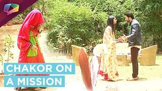 Chakor Again In Search Of Imli|Udaan