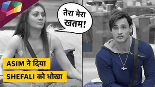 ASIM ने दिया Shefali को धोखा | फाड़ दी उनकी चिठी | Bigg Boss Update Thumbnail
