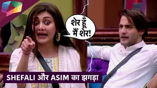 Shefali और Asim का झगड़ा | Bigg Boss 13 Update Thumbnail