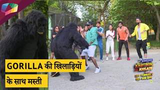 Gorilla की खिलाड़ियों के साथ मस्ती | Khatron Ke Khiladi 