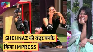 Shehnaz को बंदर बनके किया Impress | Mujhse Shaadi Karoge Update Thumbnail