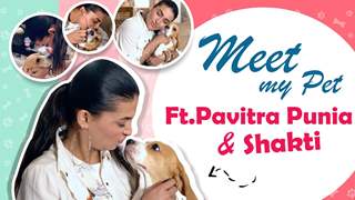 Meet My Pet Ft. Pavitra Punia & Shakti | India Forums