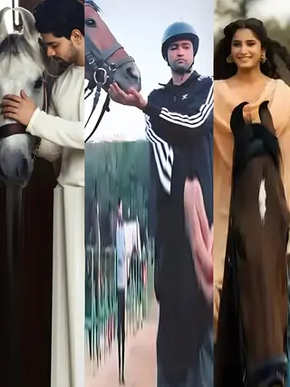 Bollywood Actors Who Trained in Horse Riding For Their Roles thumbnail