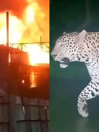 Shocking and deadly incidents from Hindi TV show sets Thumbnail